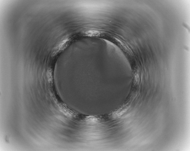 X0000093740620200710301106