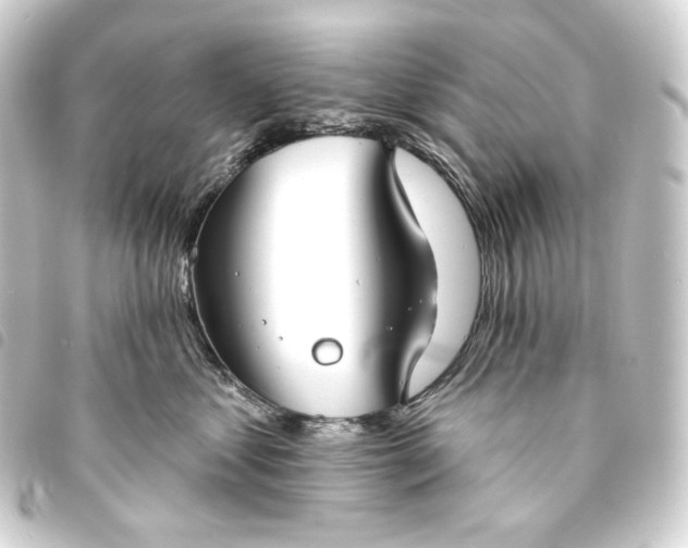 X0000093740621200710301106