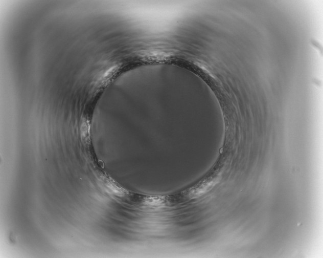 X0000093740624200710301106