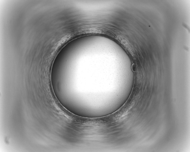 X0000093740625200710301105