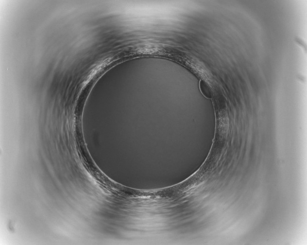 X0000093740626200710301105