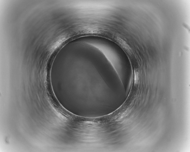 X0000093740627200710301105