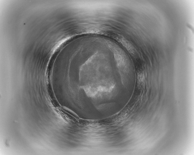 X0000093740628200710301105