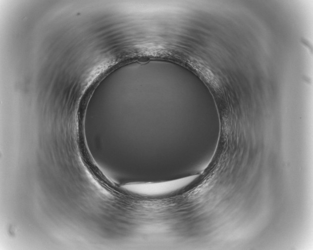 X0000093740630200710301105