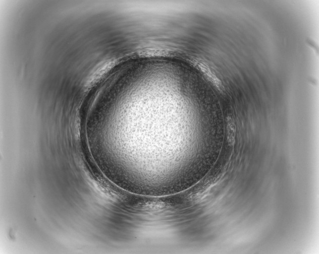 X0000093740631200710301105