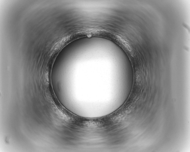 X0000093740633200710301105