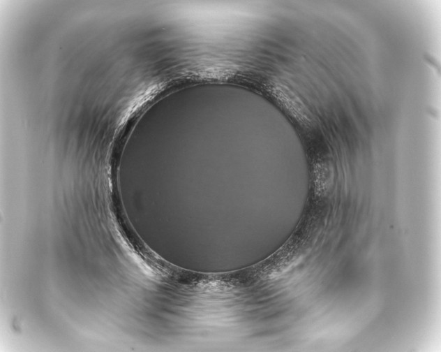 X0000093740634200710301105