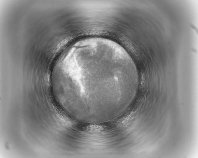 X0000093740636200710301105