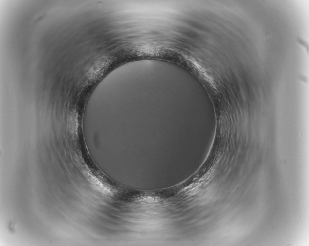 X0000093740637200710301105