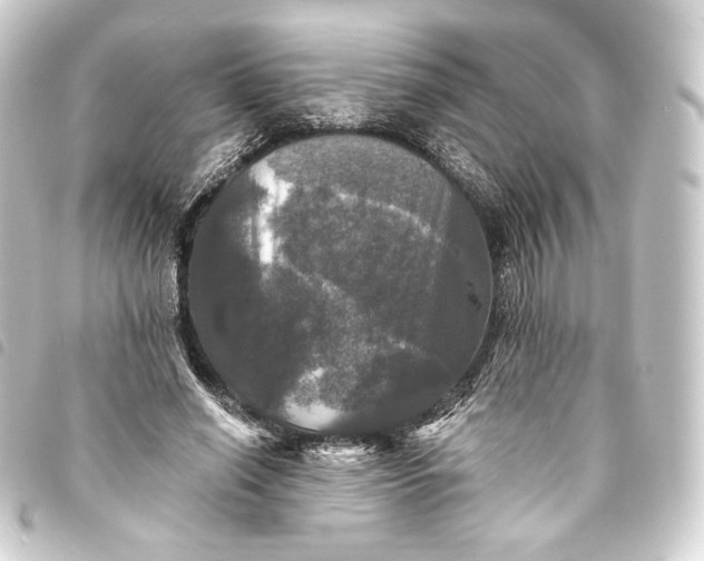 X0000093740638200710301105