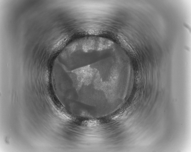 X0000093740639200710301105