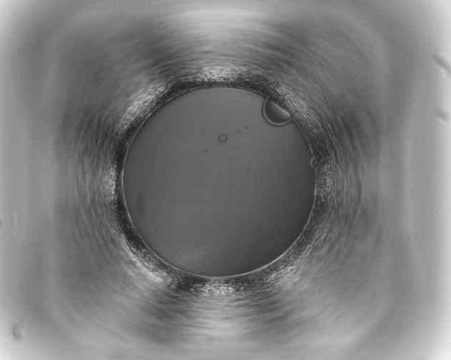 X0000093740640200710301105