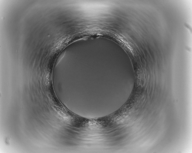 X0000093740641200710301105