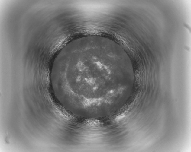 X0000093740642200710301105