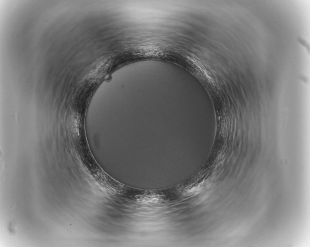 X0000093740643200710301105