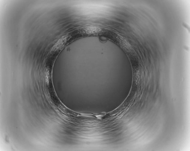 X0000093740644200710301105