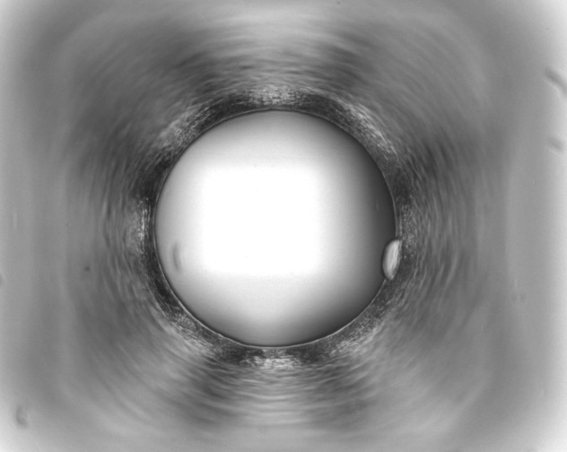 X0000093740645200710301105