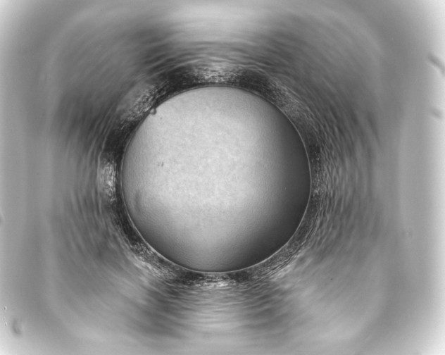 X0000093740646200710301105