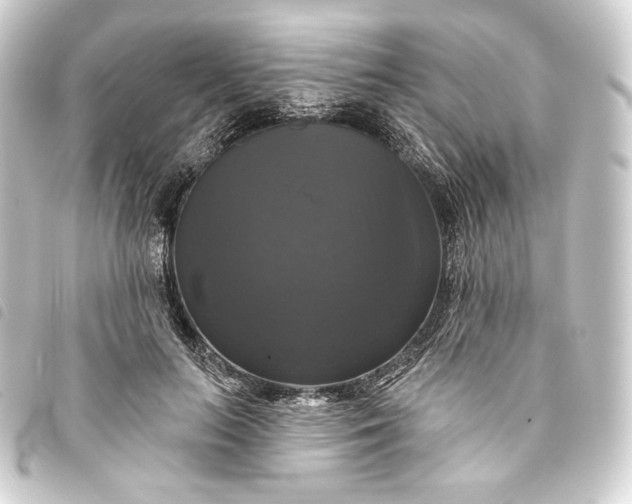 X0000093740647200710301105