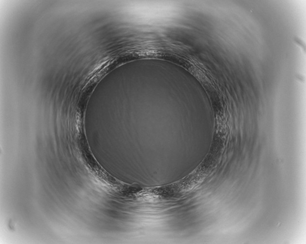 X0000093740648200710301105