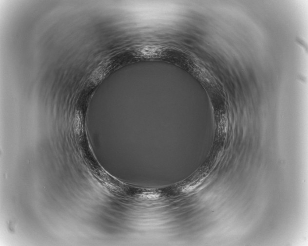 X0000093740651200710301106