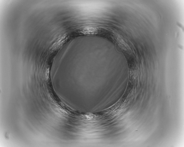 X0000093740652200710301106