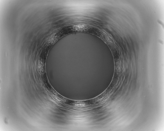 X0000093740653200710301106