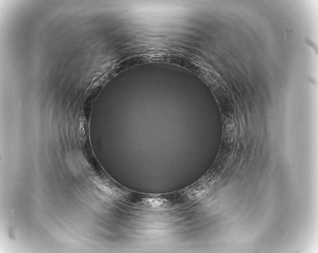 X0000093740654200710301106