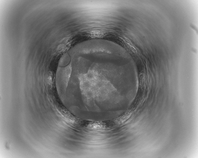 X0000093740655200710301106