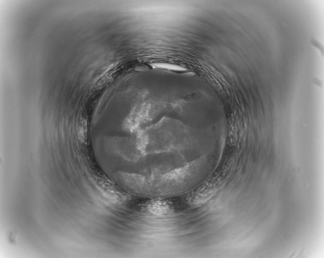 X0000093740656200710301106