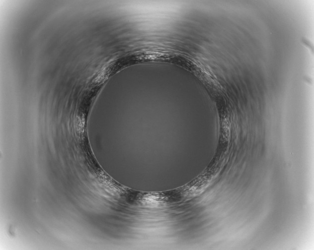 X0000093740657200710301106