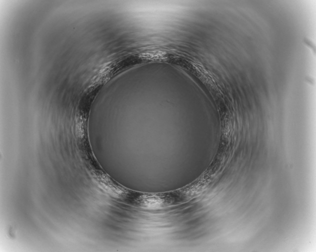 X0000093740658200710301106