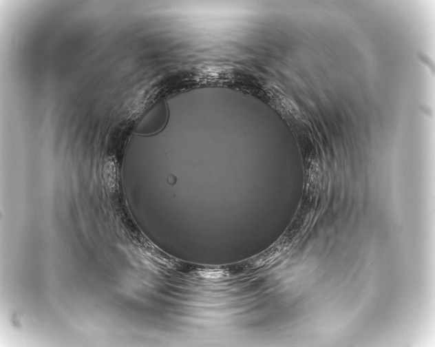 X0000093740659200710301106