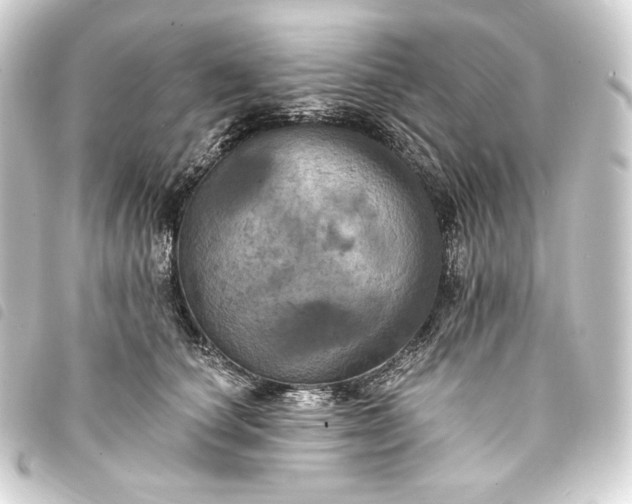 X0000093740660200710301106