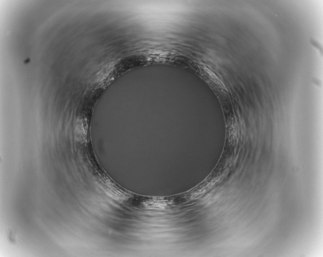 X0000093740661200710301106