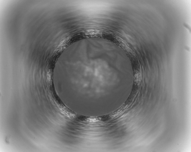 X0000093740662200710301106