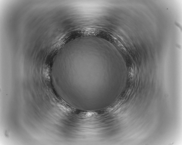 X0000093740663200710301106