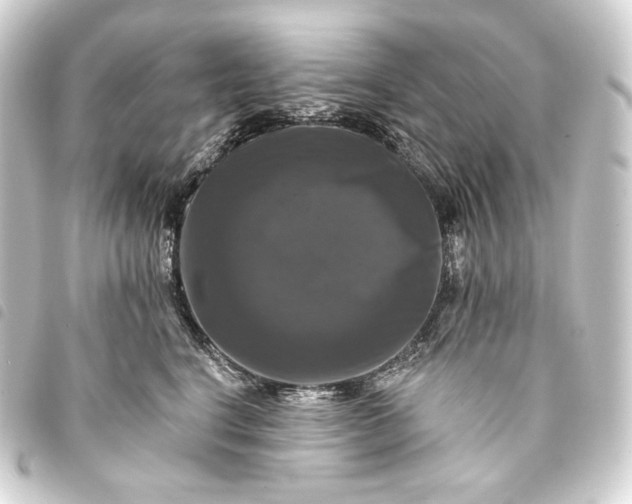 X0000093740664200710301106