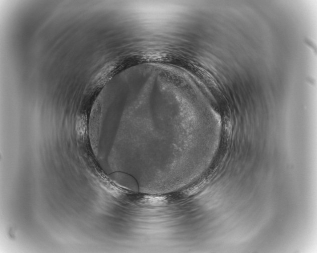 X0000093740665200710301106