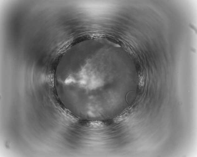 X0000093740666200710301106