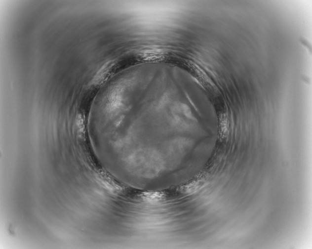 X0000093740667200710301106