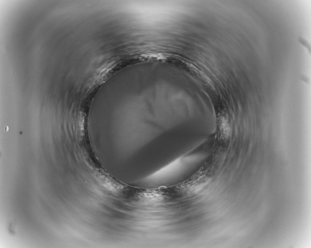 X0000093740668200710301106