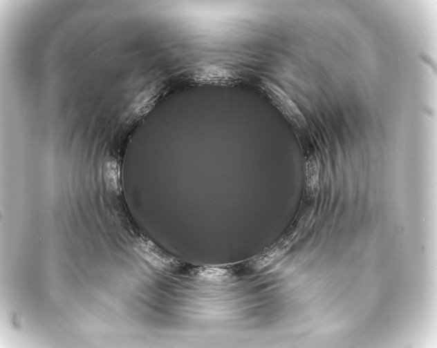 X0000093740669200710301106