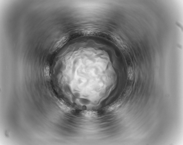 X0000093740670200710301106