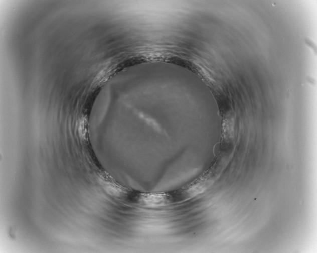 X0000093740671200710301106