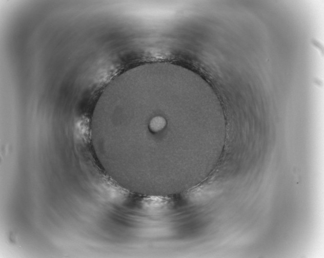 X0000093740672200710301106