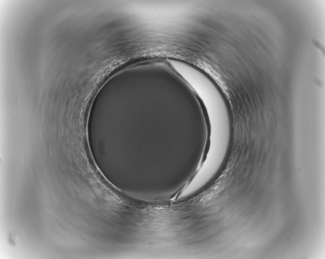 X0000093740673200710301105