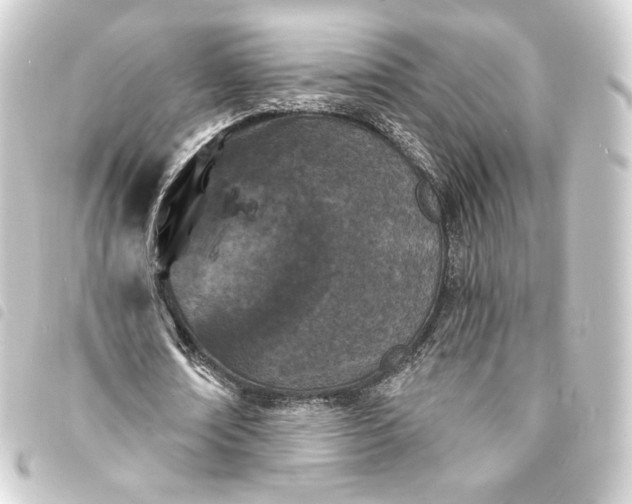 X0000093740674200710301105