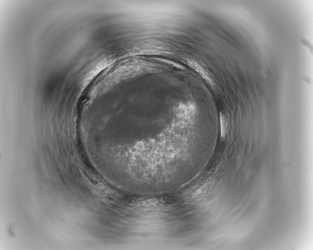 X0000093740675200710301105