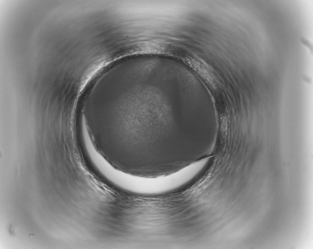 X0000093740676200710301105